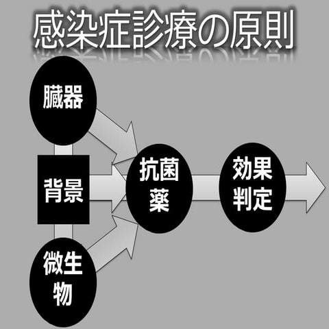 妖怪メダルできった抗菌薬の使い方