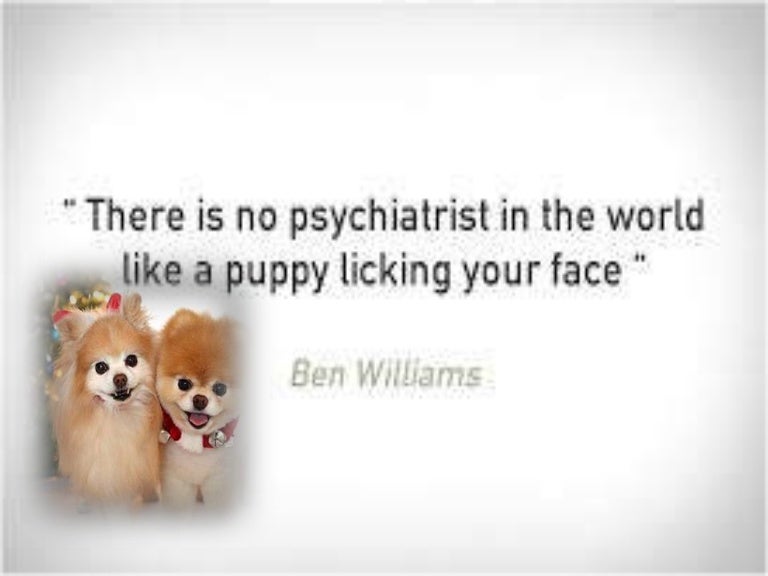 About dog lovers dating online