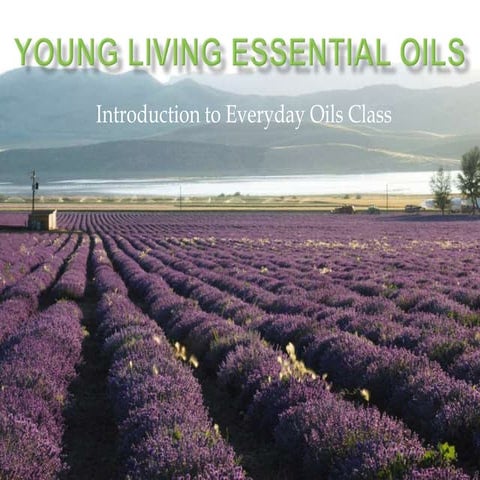 Young Living Everyday Oils | PPT