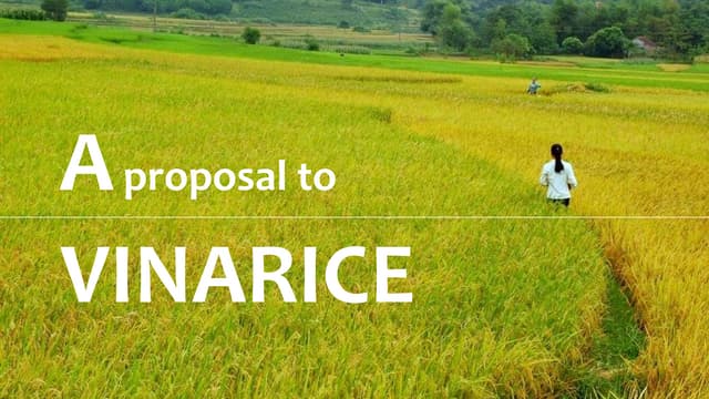 Young marketers 3 - The Final Round...