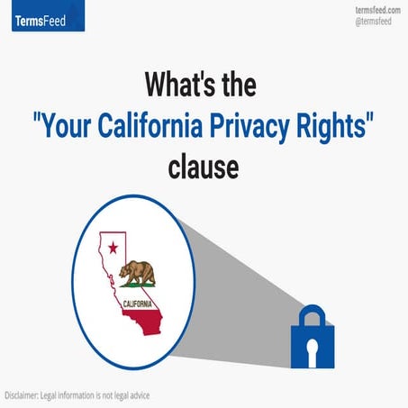 Disclaimer Examples | PDF
