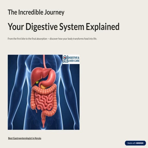 The Incredible Journey: Understanding Your Digestive System from Bite ...