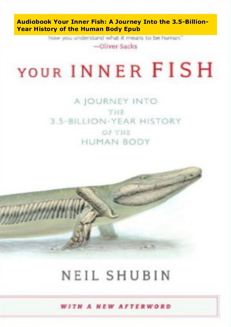 your inner fish series