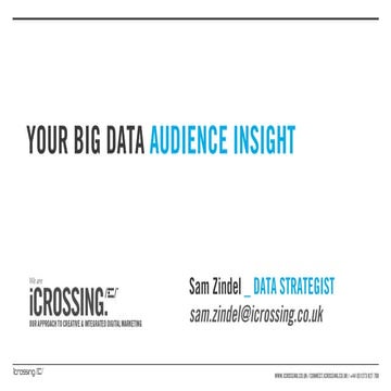 Your big data audience insight big data show 24 apr 2013
