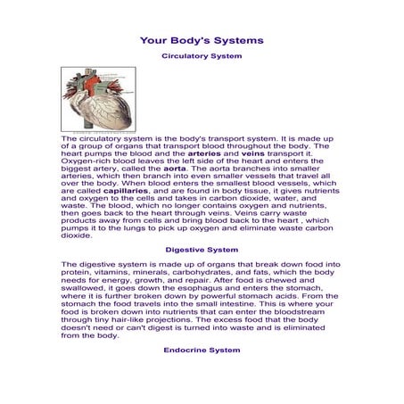 Your body's systems