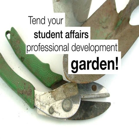 Tend To Your Student Affairs Professional Development Garden