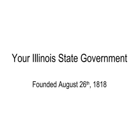 Your Illinois state government