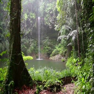 Sorry, Your Mum Is Not a Valid Test Participant