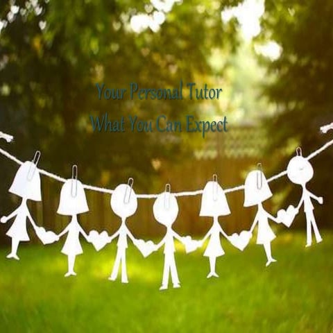 Your personal tutor what you can expect 2014