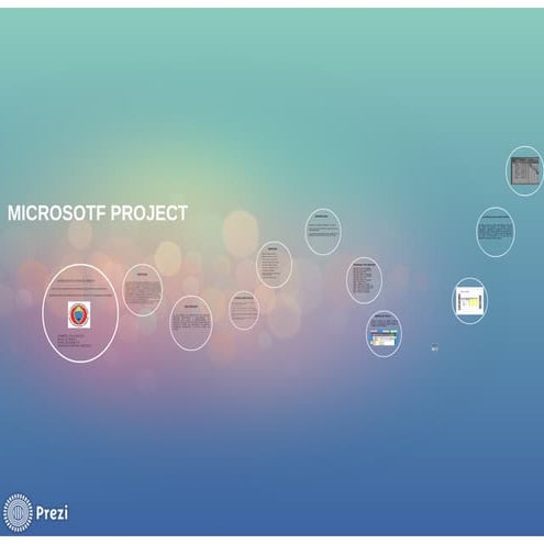 MS Project | PDF