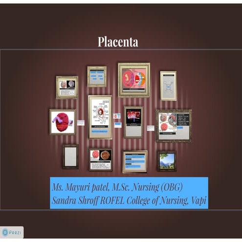 Placenta