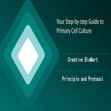 Your step by-step guide to primary cell culture