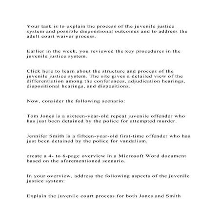 Your task is to explain the process of the juvenile justice system a.docx