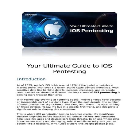 Your Ultimate Guide to iOS Pentesting.pdf