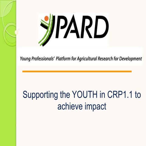 Supporting the YOUTH in CRP1.1 to achieve impact