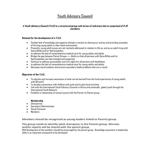 Youth advisory council_template