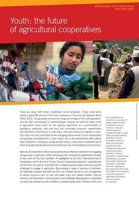 Youth and agriculture