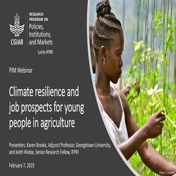 Climate resilience and job prospects for young people in agriculture