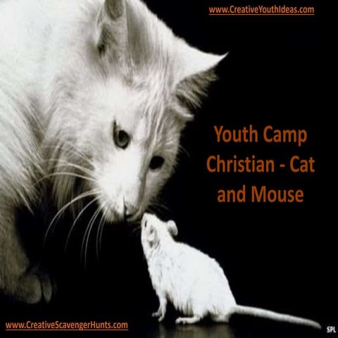 Youth Camp Christian - Cat and Mouse