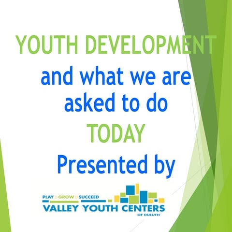 Youth Development and What We are Asked to Do Today