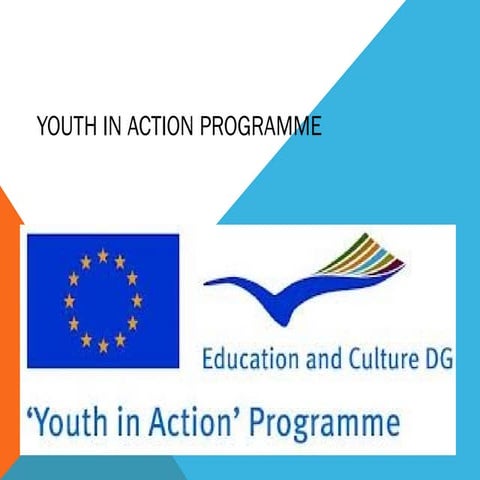 Youth in action programme