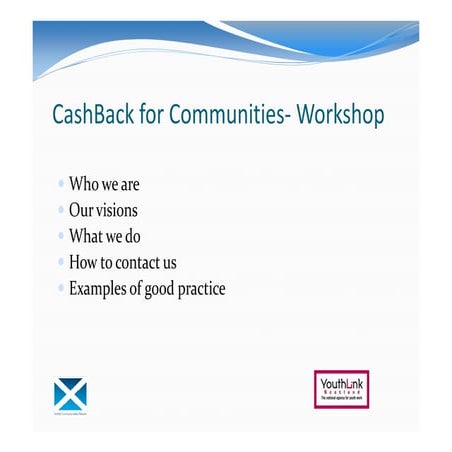 Youth link scotland and scottish community safey network presentation