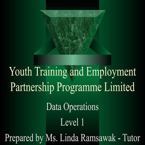 Youth Training and Employment Partnership Programme Limited - Linda Ramsawak_...