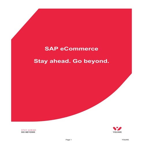 Youwe sap-ecc-r3-hana-e commerce-with-magento-mb2b-100717-1601-206