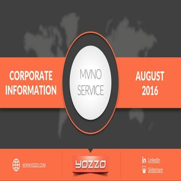 MVNO Consulting Services