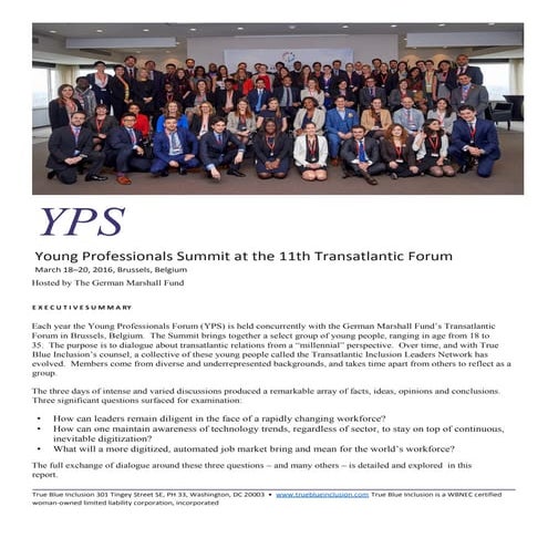 The Brussels Forum - Young Professional's Summit (YPS) - The Power to Move th...