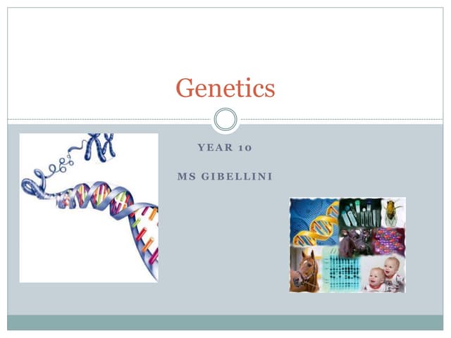 Genetics and Evolution Year 10 