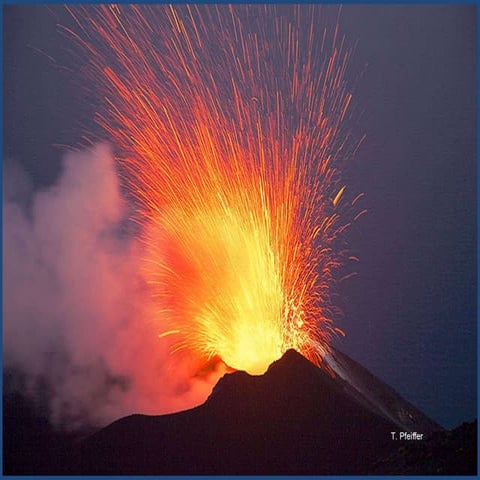 Living in an Active Zone Revision 