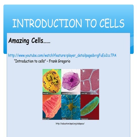 Yr 11 biol   semester 1 - cells topic