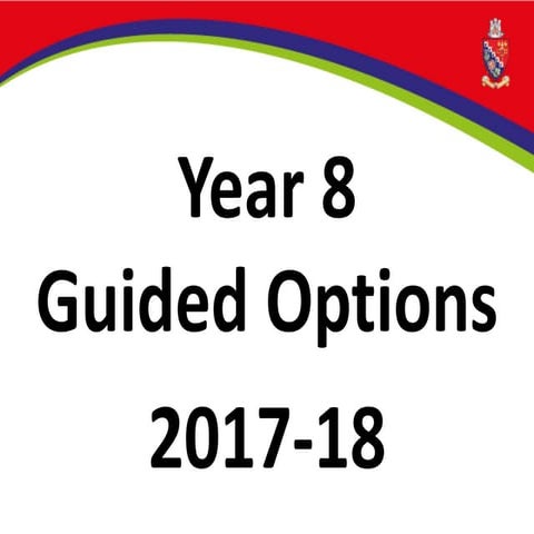 Yr 8 options 2018 