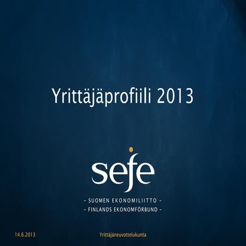 Yrittäjäprofiili 2013