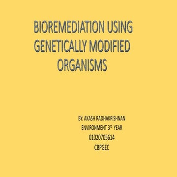 Bioremediation using genetically modified organisms