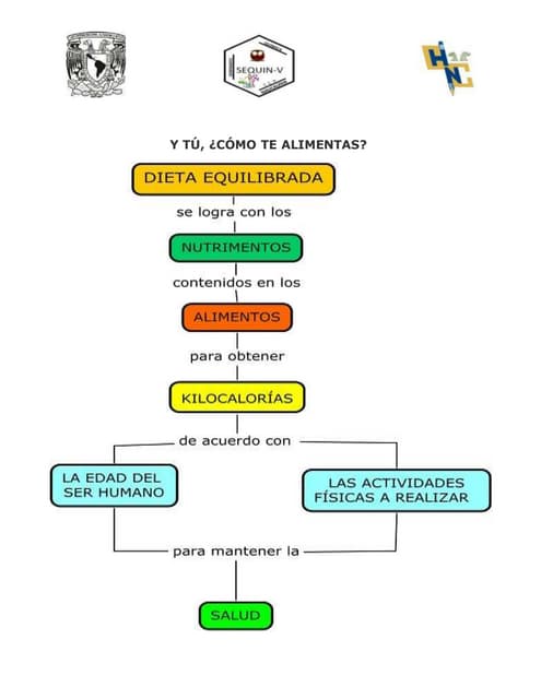 Y tu como te alimentas