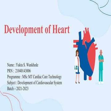 Development of Heart (Embryology)