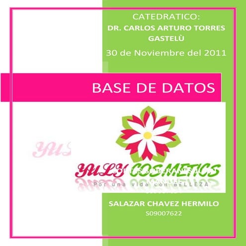 Yuli's cosmetics (1)