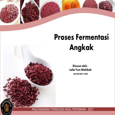 Proses fermentasi angkak | PPTX