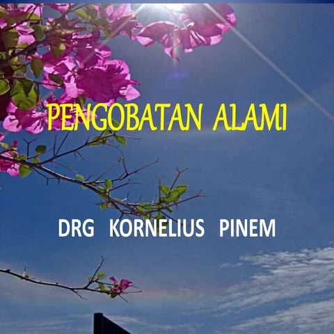 Pengobatan  alami