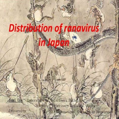 Distribution of ranaviruses in Japan | PPTX