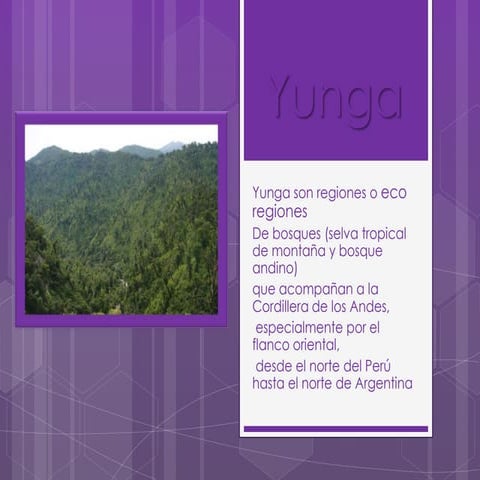 Región Yunga