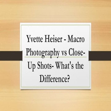 Yvette Heiser - Macro Photography vs Close-Up Shots- What's the Difference?