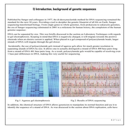 New generation Sequencing 