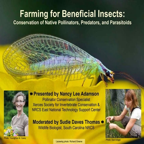 Farming for Beneficial Insects - Conservation on Native Pollinators, Predators & Parasitoids; Gardening Guidebook for South Carolina 