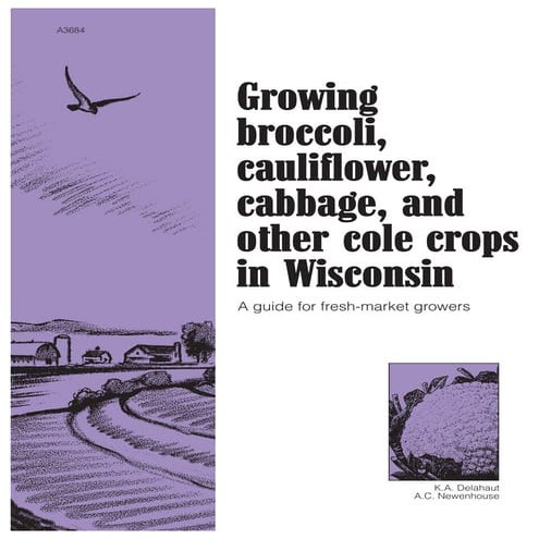 Growing Broccoli, Cauliflower, Cabbage, and Other Cole Crops in Wisconsin; Ga...