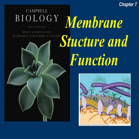 Chapter 07 Membrane Structure and Function