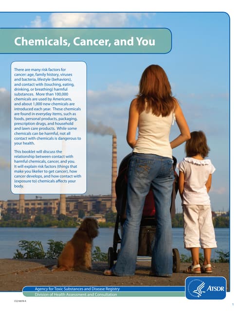 Lead Paint Epa Brochure
