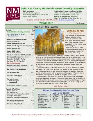 Four Ways Succulent Plant Benefits Will Help You Get More Business